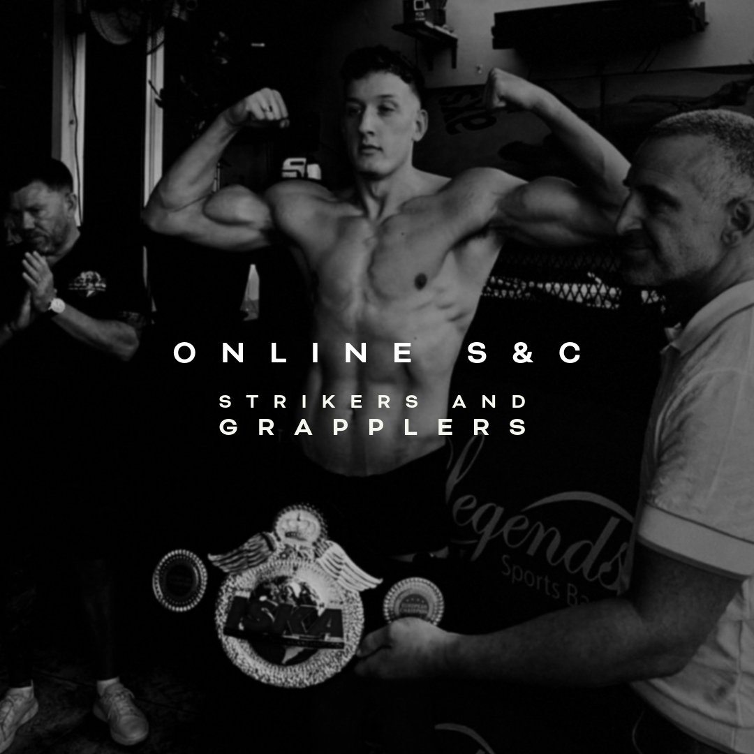 Fighter online coaching